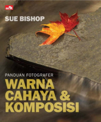 Panduan Fotografer : Warna Cahaya dan Komposisi