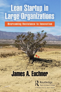 Lean Startup in Large Organizations Overcoming Resistance to Innovation   (EBOOK)