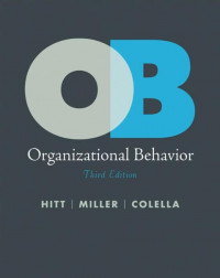 EBOOK : Organizational Behavior, 3rd Edition