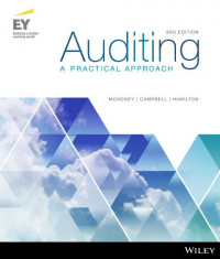 EBOOK : Auditing: a practical approach, 3rd Edition