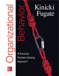 EBOOK : Organizational Behavior : A Practical, Problem-Solving Approach, First edition