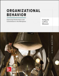 EBOOK : Organizational Behavior: Improving Performance And Commitment In The Workplace, 6th Edition