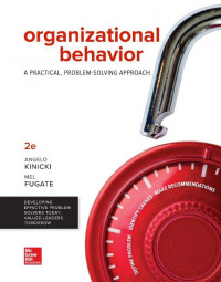 EBOOK : Organizational Behavior : A Practical, Problem-Solving Approach, 2nd Edition