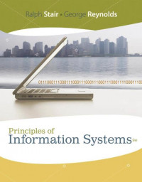 EBOOK : Principles of Information Systems, A Managerial Approach, 9th Edition