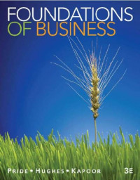 EBOOK : Foundations of Business, Third edition